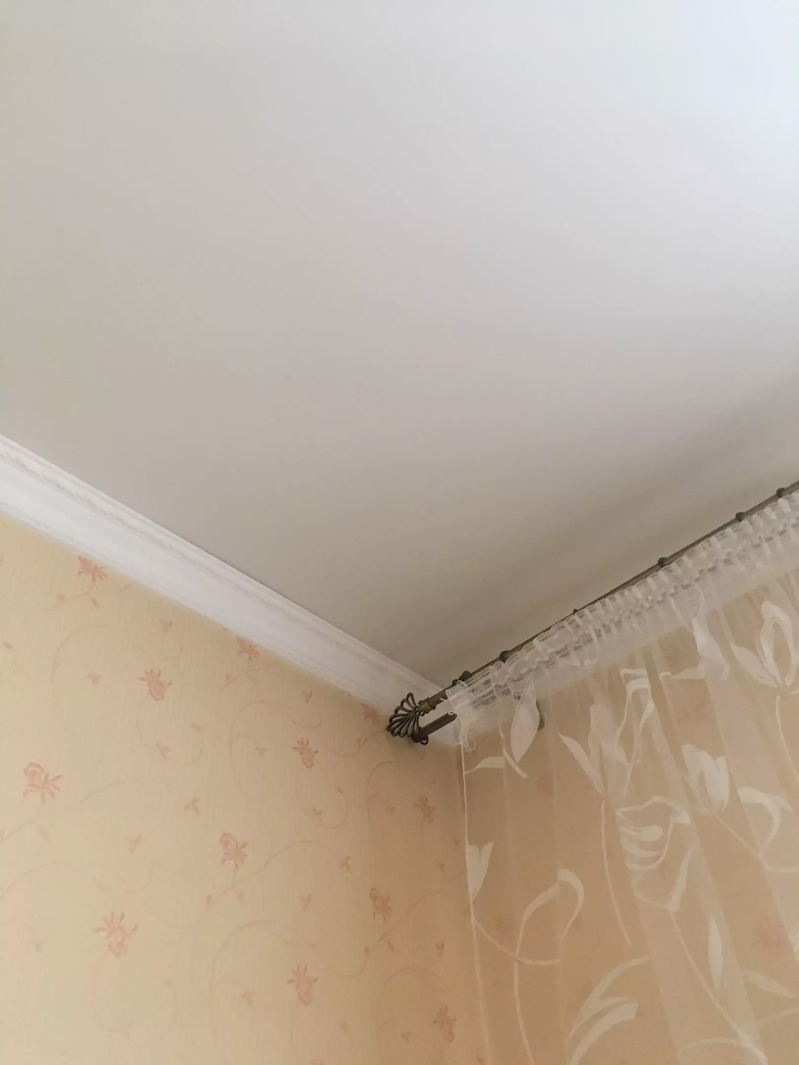 Петрозаводск, проспект Ленина, 37, фото 1