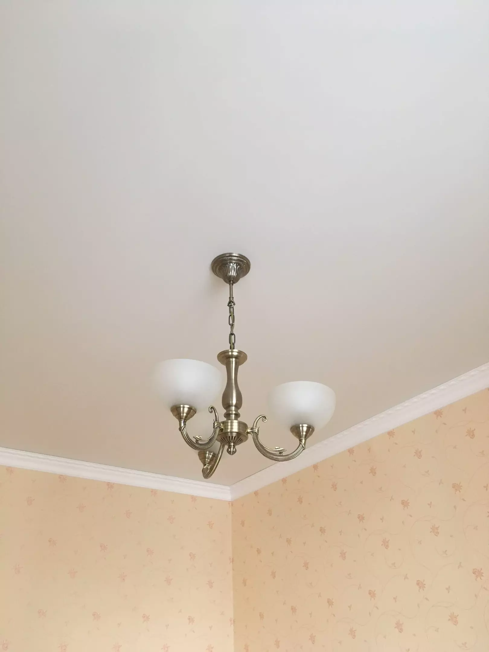 Петрозаводск, проспект Ленина, 37, фото 2