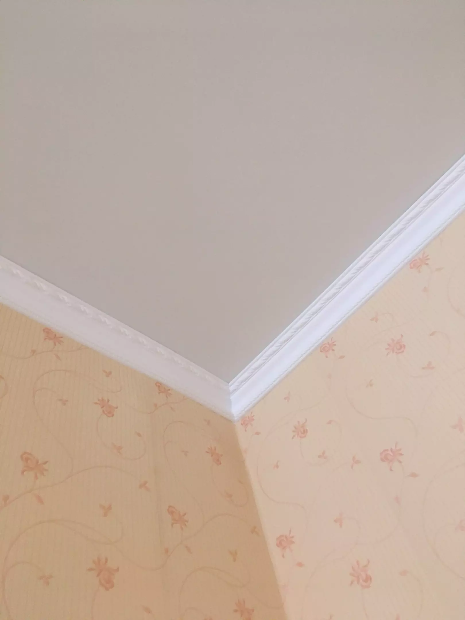 Петрозаводск, проспект Ленина, 37, фото 3