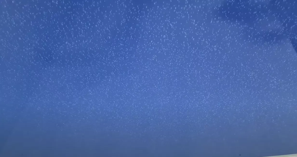 Грозный, улица Хамзата Орзамиева, 50, фото 3