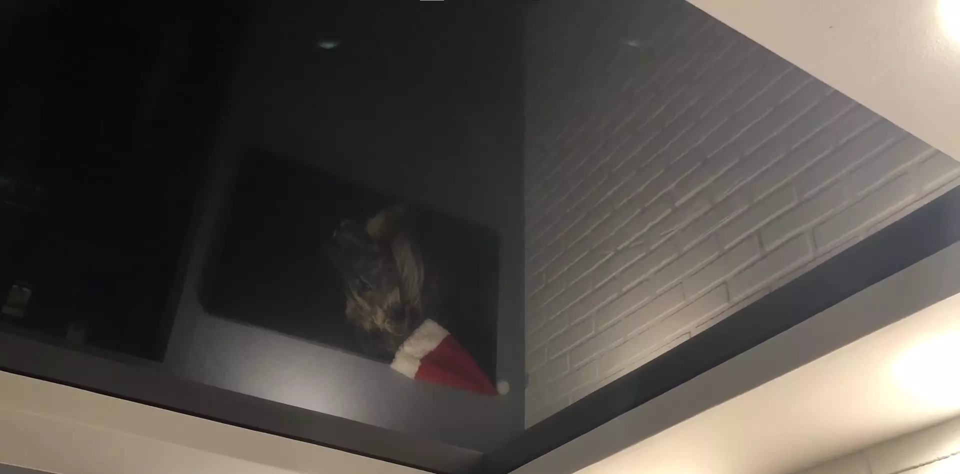 Великий Новгород, Большая Санкт-Петербургская, 130, фото 3