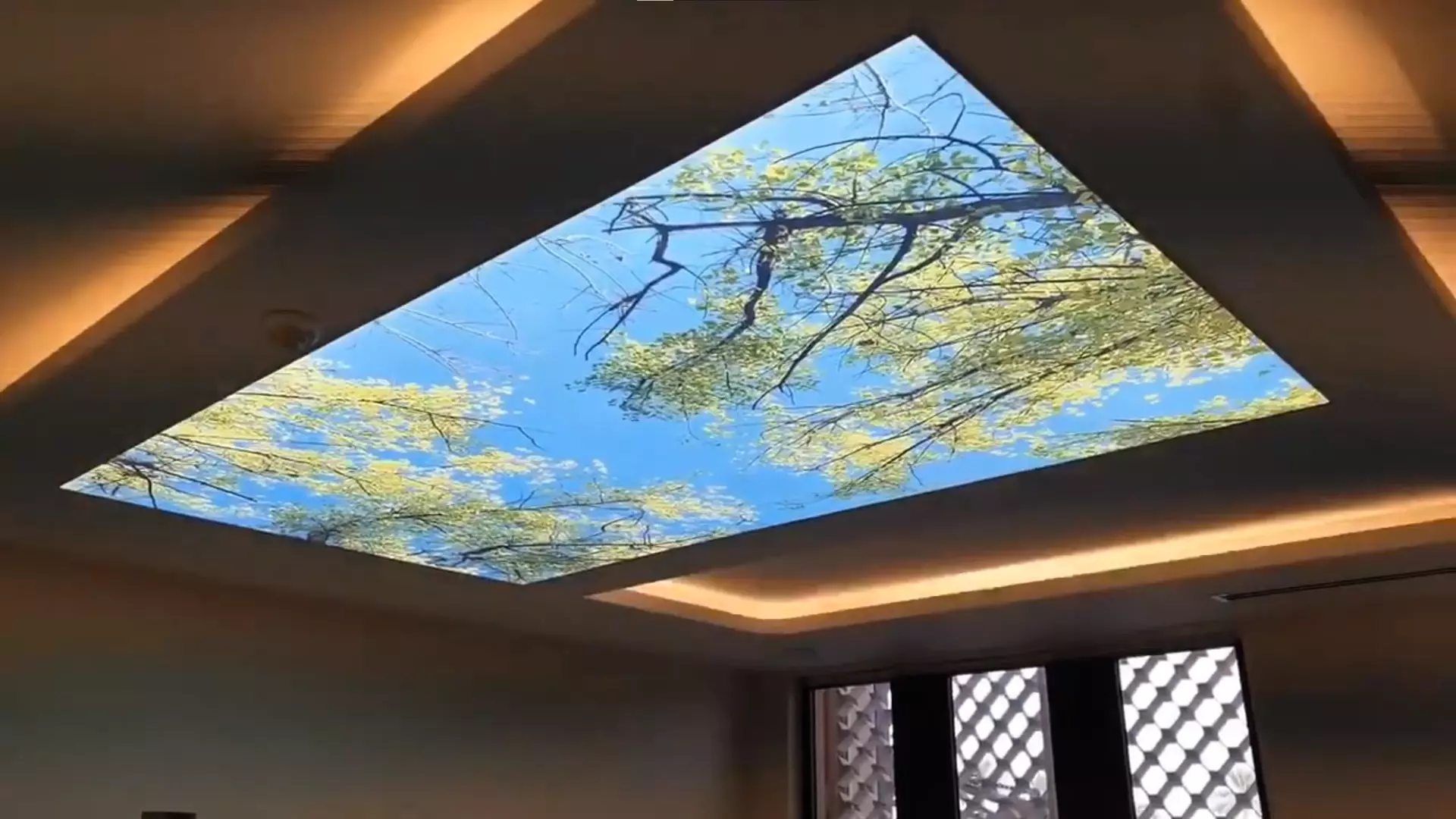 Петрозаводск, Свердлова, 20, фото 1