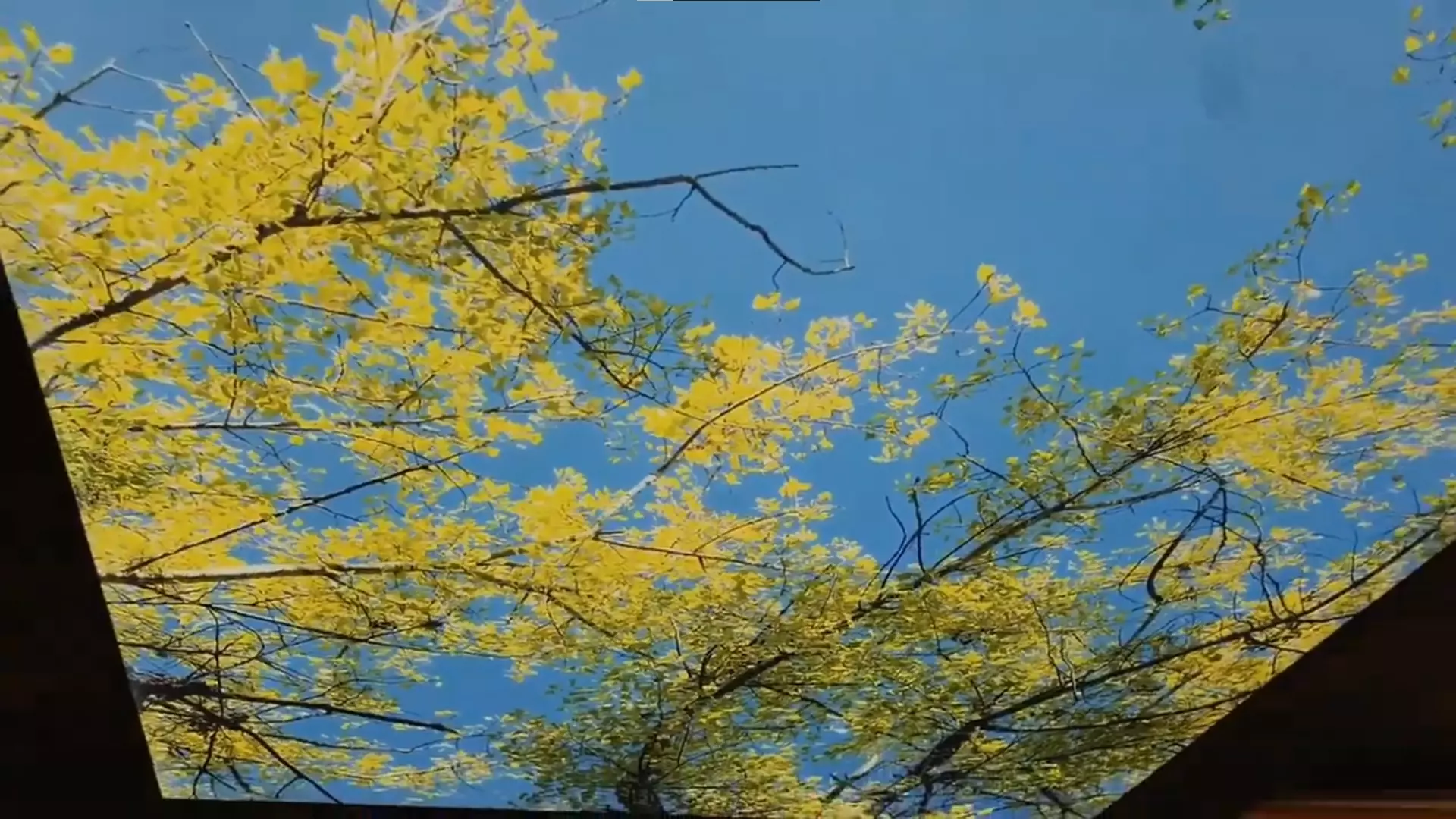 Петрозаводск, Свердлова, 20, фото 2